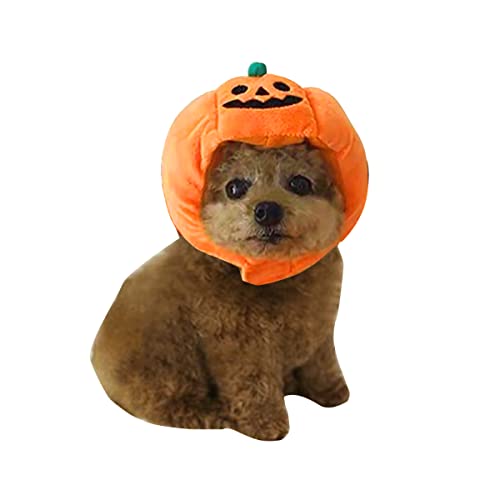 Disfraz para Mascotas Perro Gato de Halloween...