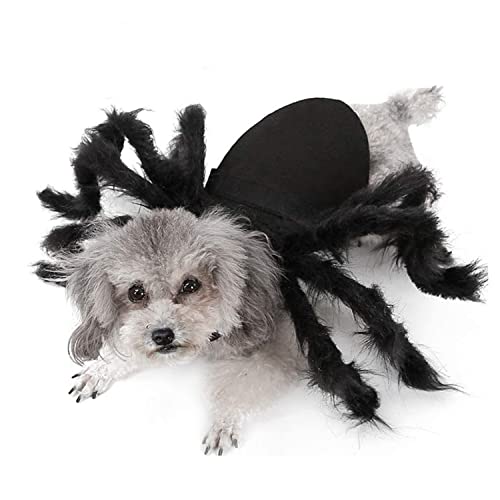 BRONG - Disfraz de Halloween para gatos y perros...
