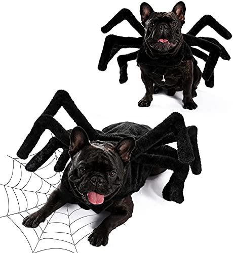 MLYX Disfraz de araña de perro de camino para...