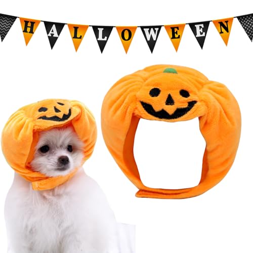 Canzoon Disfraz Halloween para Mascotas Ropa de...