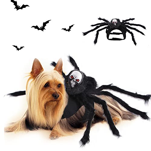 Disfraz de Halloween para mascotas, para...