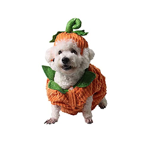 2 piezas disfraz de Halloween para perro, traje de...