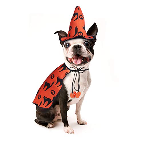 POPETPOP Disfraces de Halloween para perros –...
