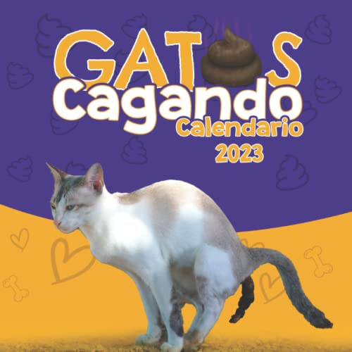Gatos Cagando Calendario 2023: Regalos Para...