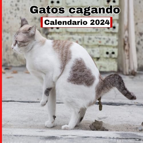 Gatos Cagando Calendario 2024: Regalos divertidos