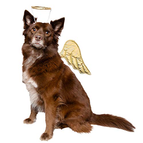 Pet Krewe - Disfraz de ángel para perro, alas de...