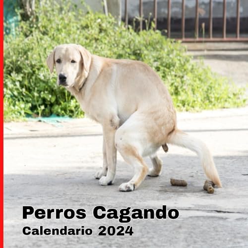 Perros Cagando Calendario 2024