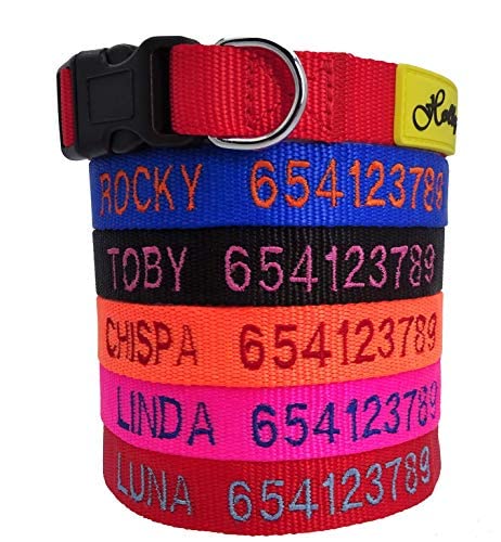 Holly Mascotas Collar de Perro Personalizado...