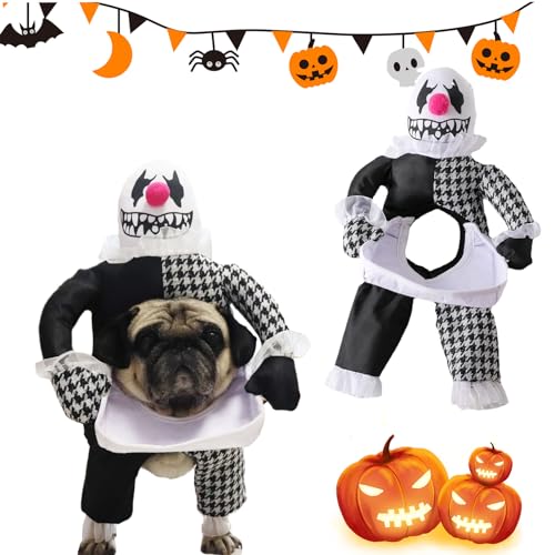 Canzoon Disfraz Halloween para Mascotas Disfraz...