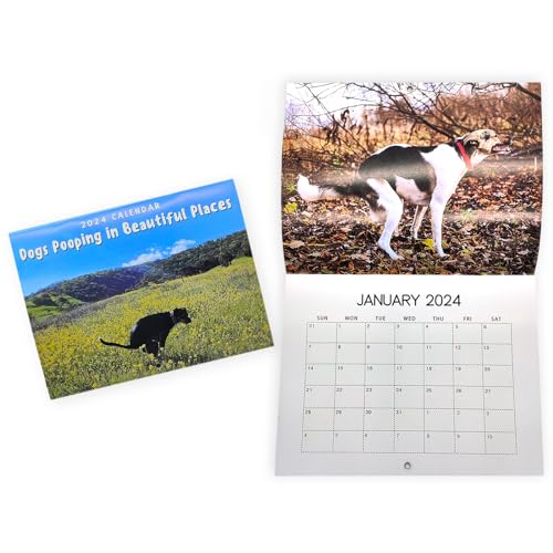 Vordpe Calendario 2024 de Pooping Dogs, calendario...