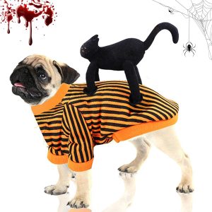 disfraz halloween perro
